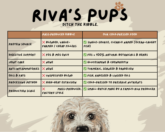 How to Read a Dog Food Label: A Free Guide for Pet Parents Who Want the Best
