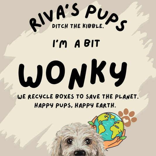 Riva’s Pups: Join the Revolution for a Plastic-Free Pup World