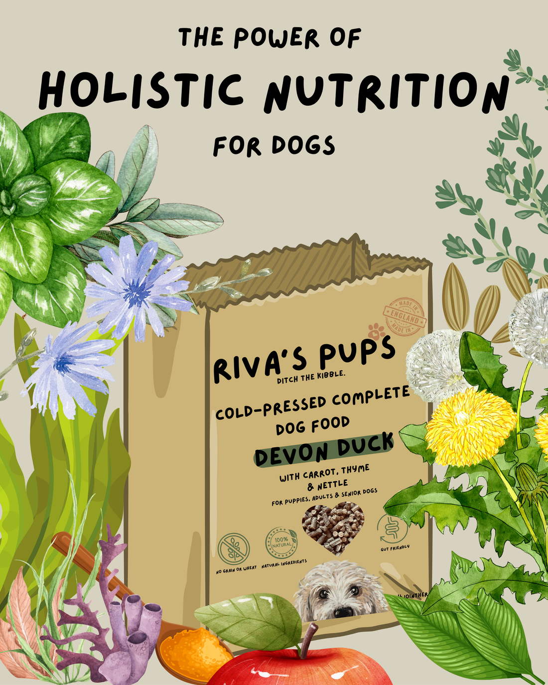 No Gimmicks, Just Goodness: Why Our Ingredients Actually Matter