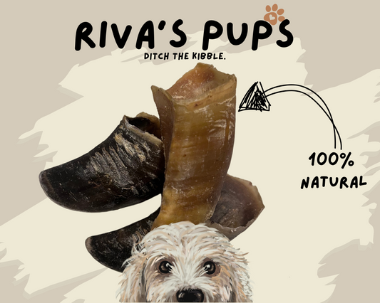 100% Cow Hooves