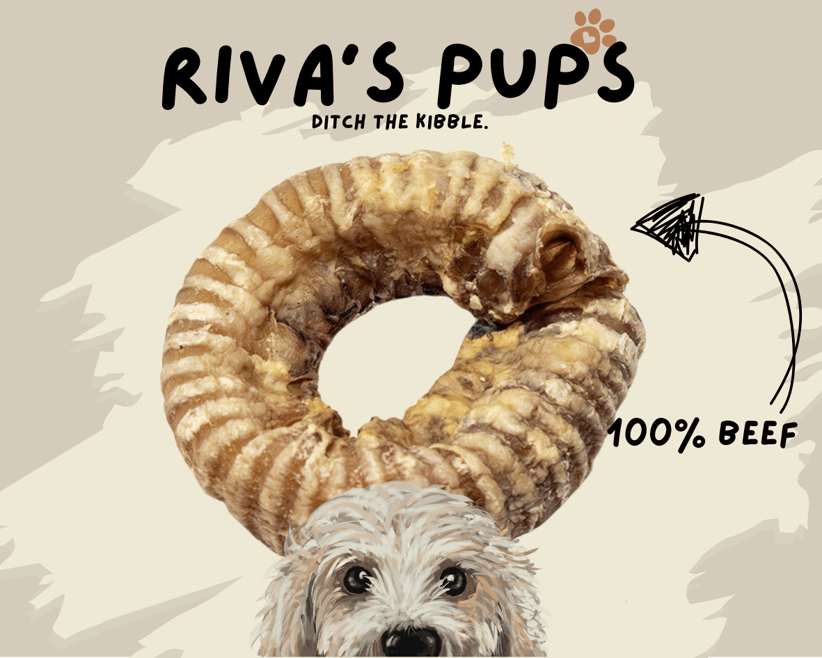 100% Beef - JUMBO TRACHEA RING