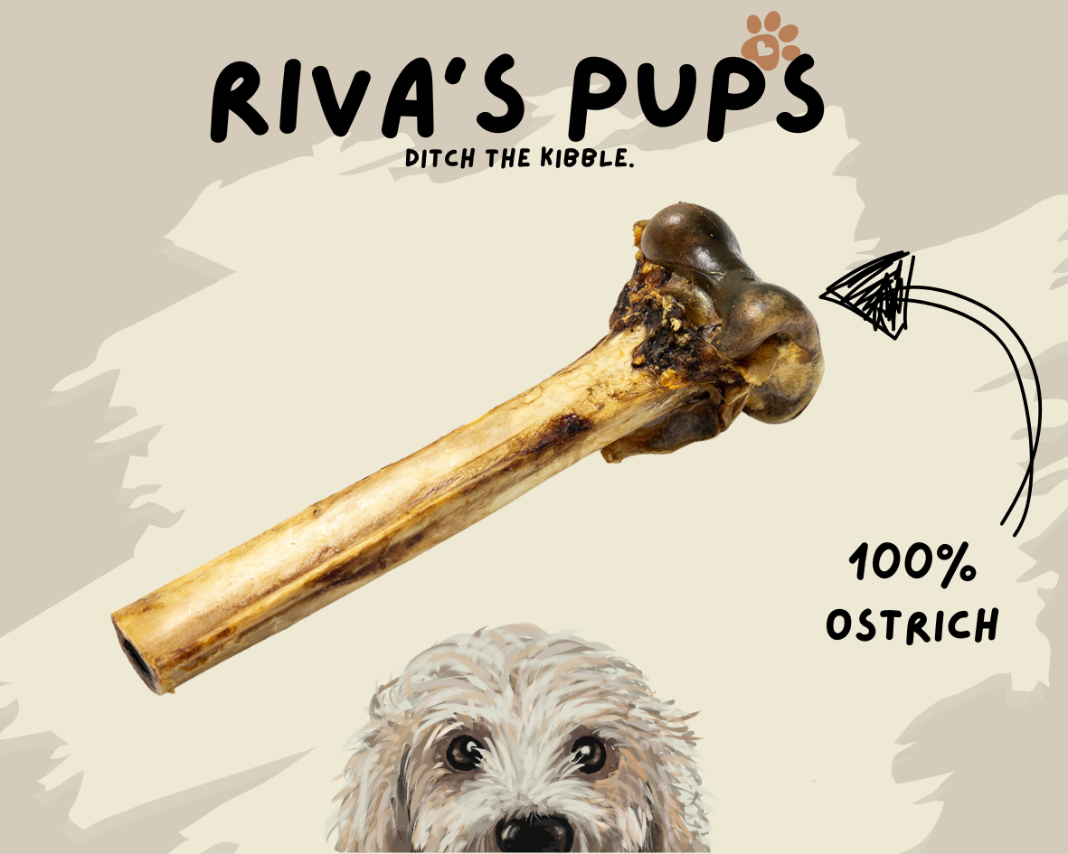 100% Ostrich Bone