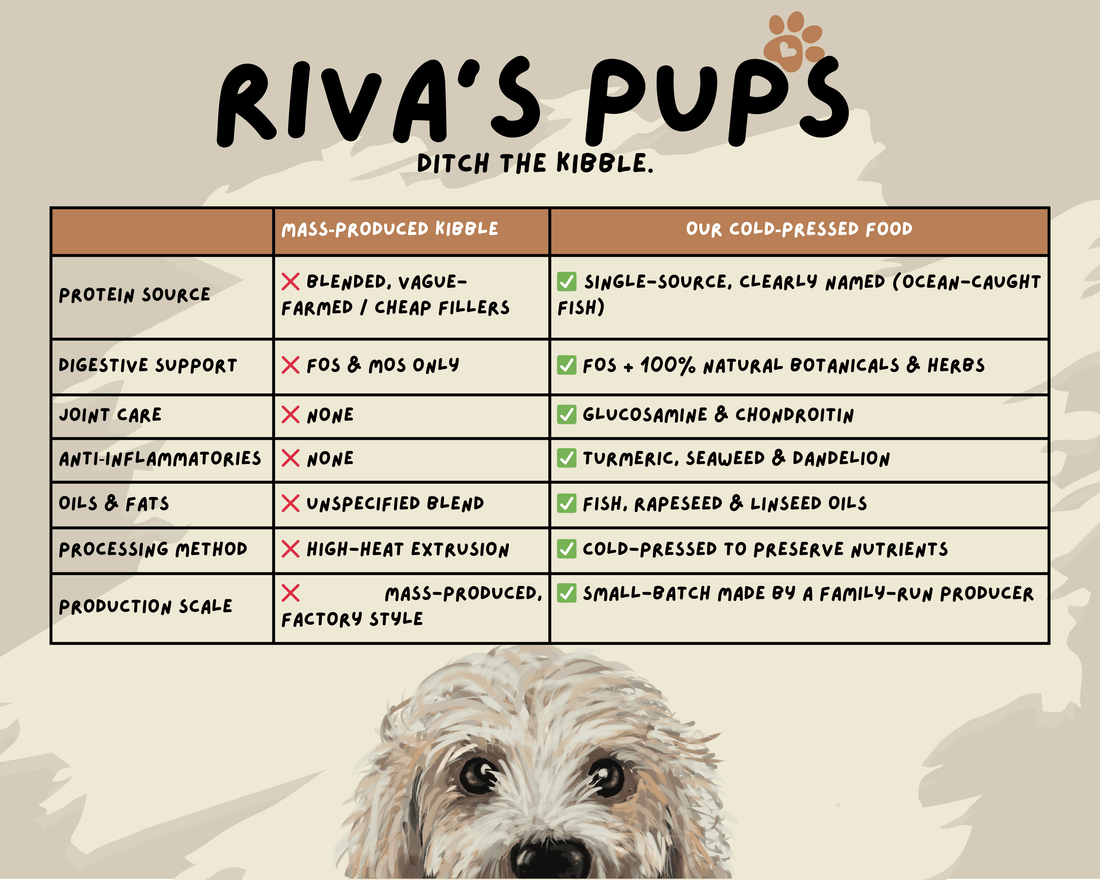 How to Read a Dog Food Label: A Free Guide for Pet Parents Who Want the Best