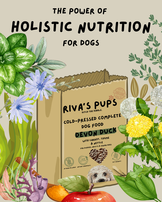 No Gimmicks, Just Goodness: Why Our Ingredients Actually Matter