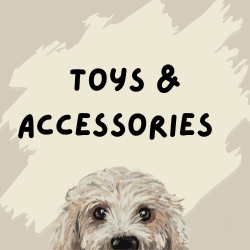 Toys & Accessories