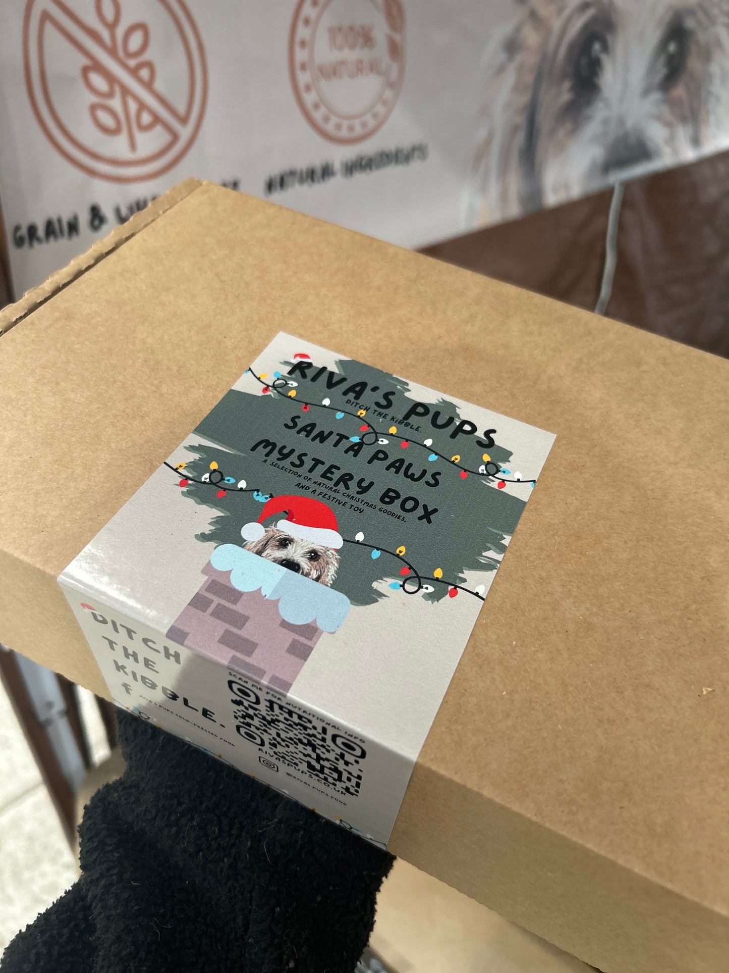 Christmas Treat Box for Dogs