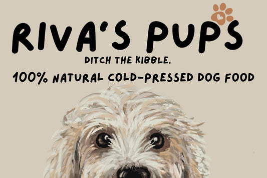 Cold-Pressed Dog Food - Sample & Trial Options