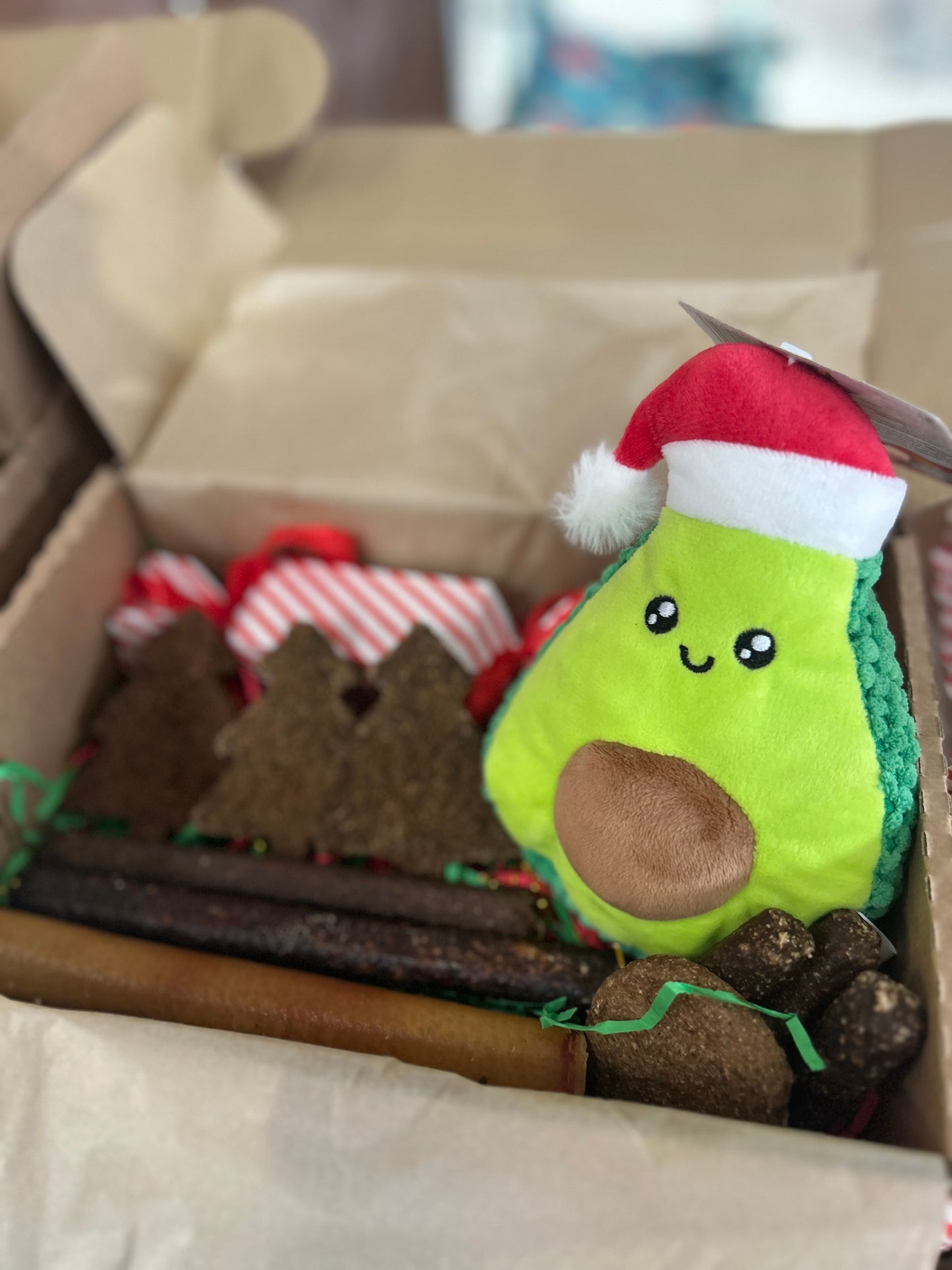 Christmas Treat Box for Dogs