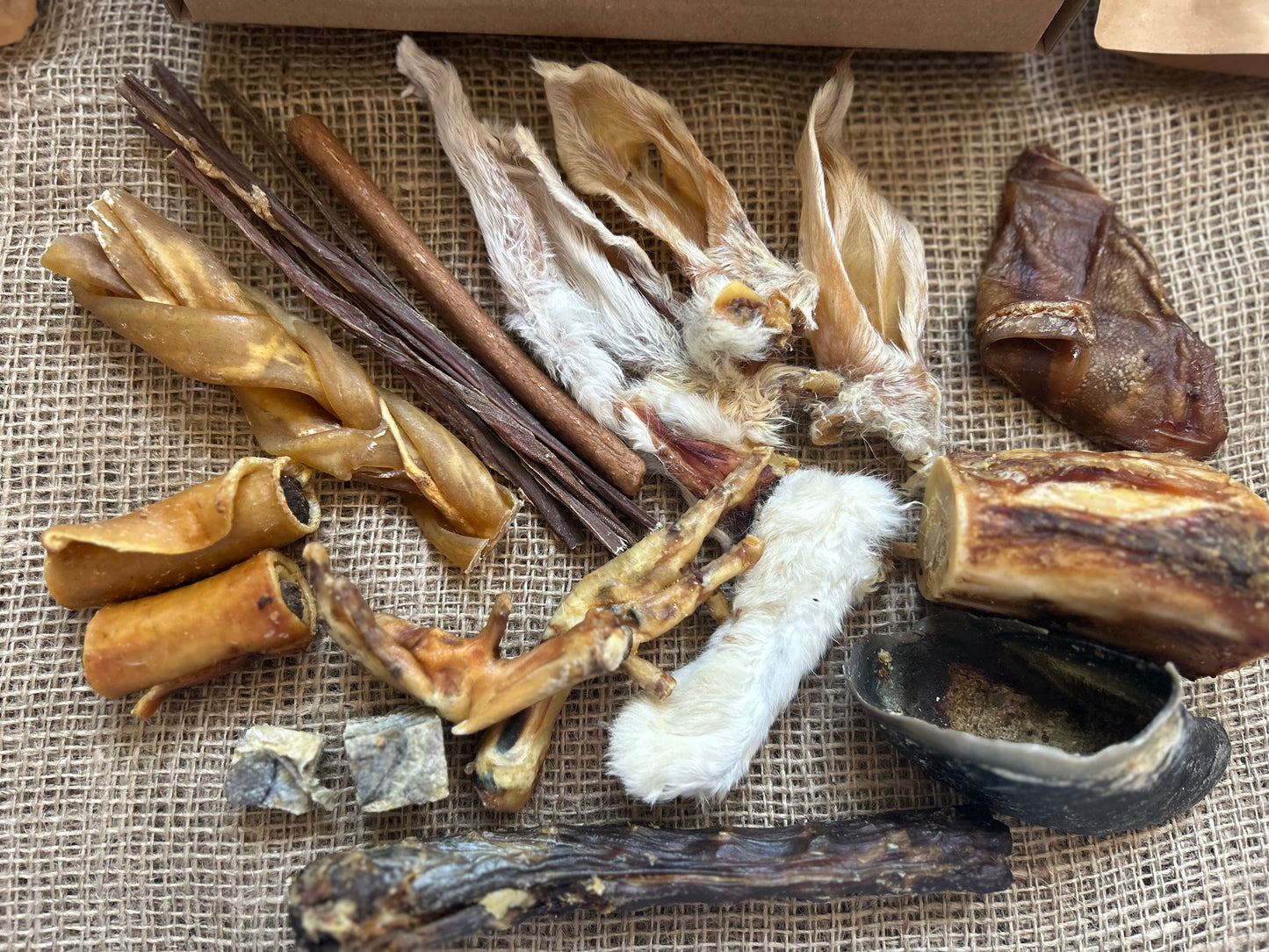 *Riva's Picks* Mystery Treat Box for Dogs