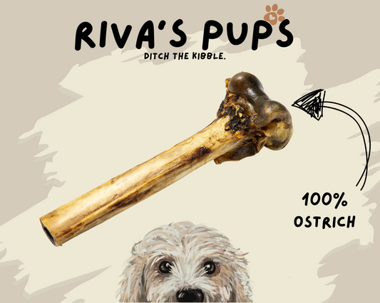 100% Ostrich Bone