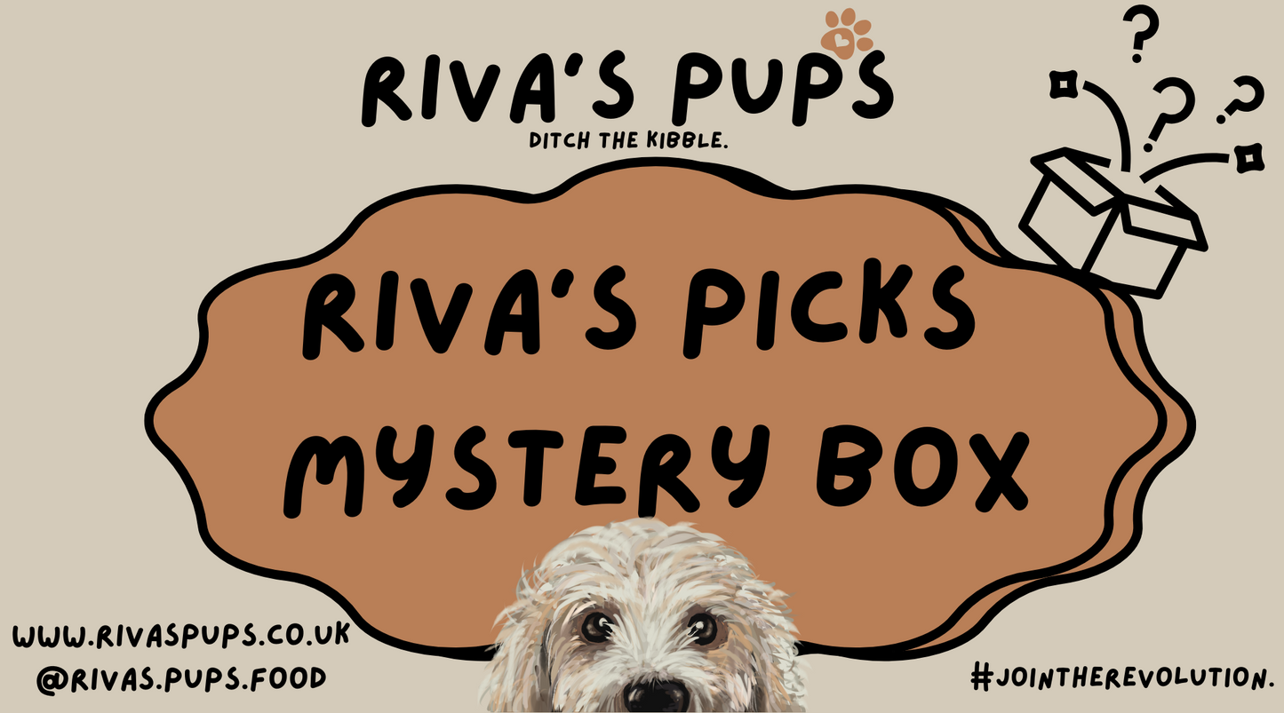 Riva's Picks Mystery Treat Box for Dogs