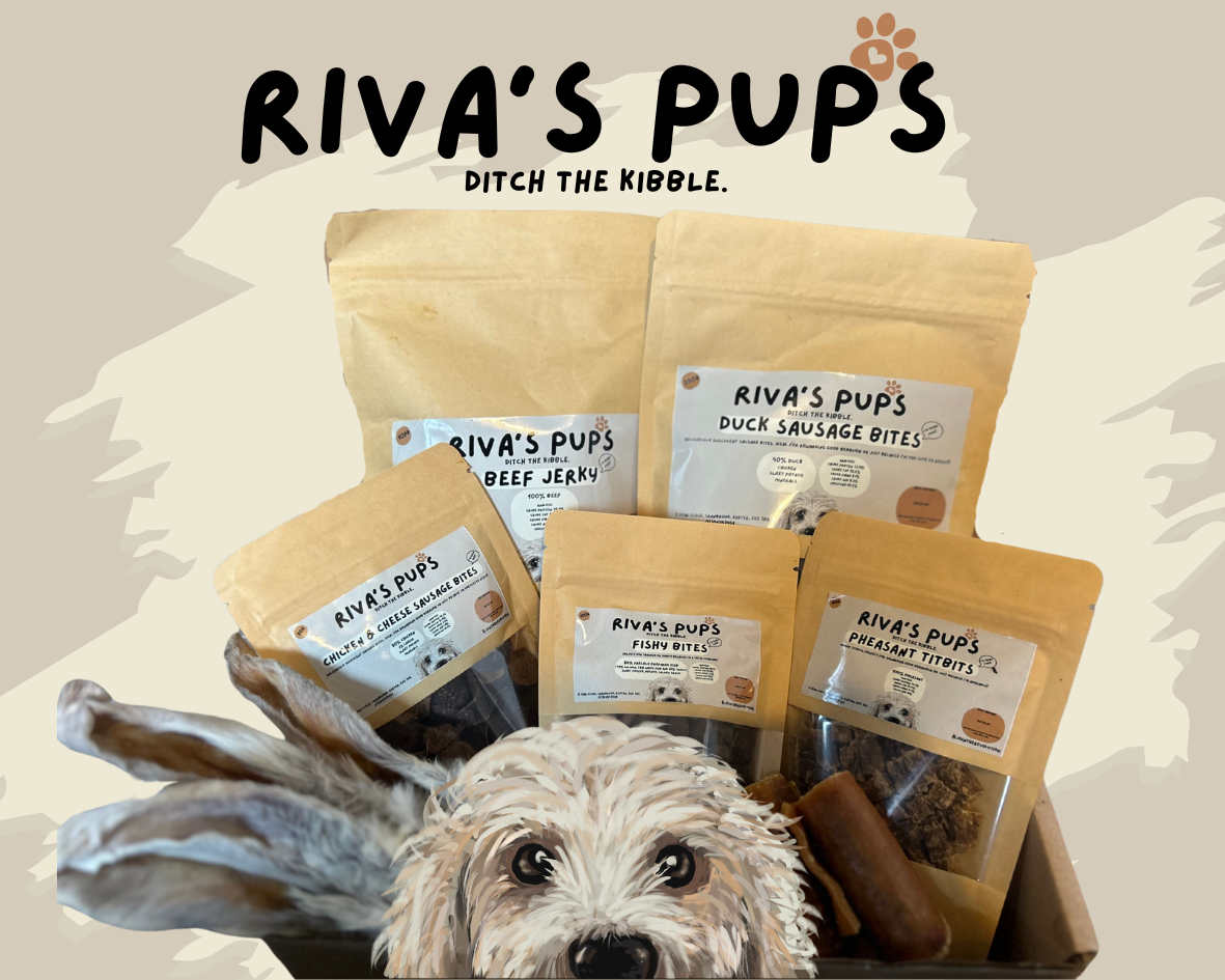 Riva's Picks Mystery Treat Box for Dogs